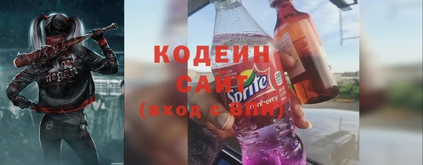 дмт Бородино