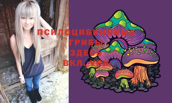 дмт Бородино