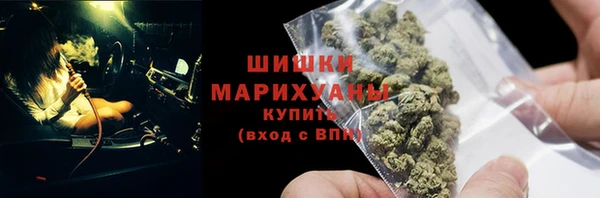 дмт Бородино
