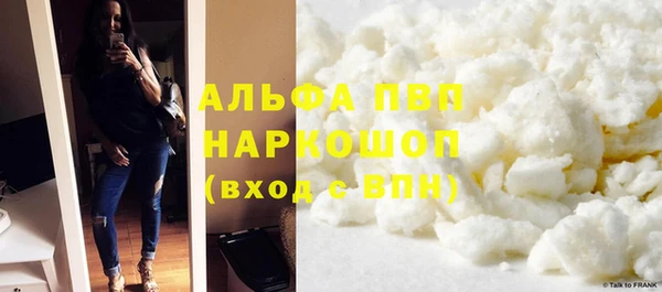 дмт Бородино