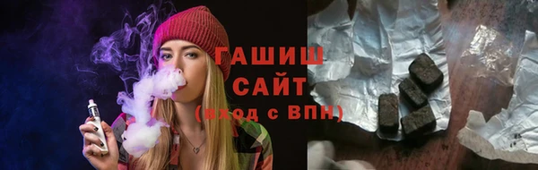 дмт Бородино