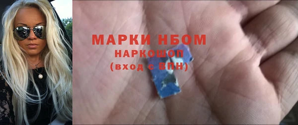 дмт Бородино
