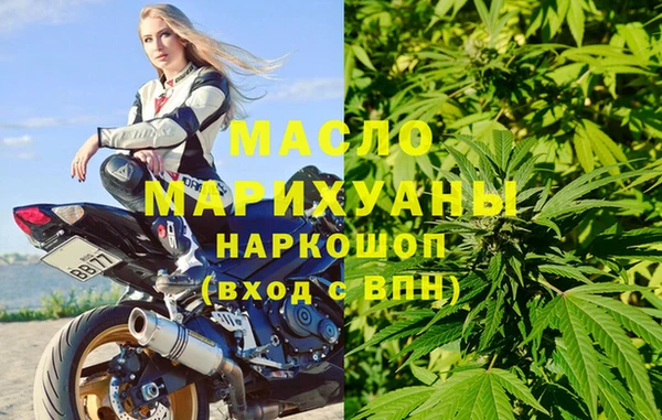 дмт Бородино
