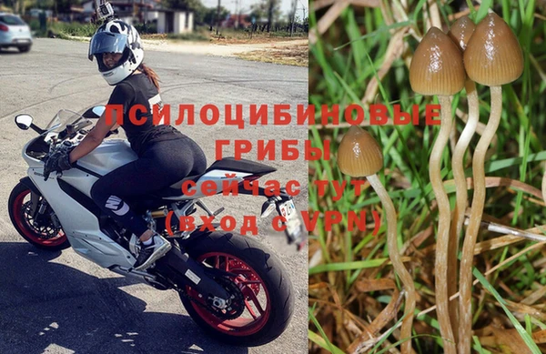 2c-b Корсаков