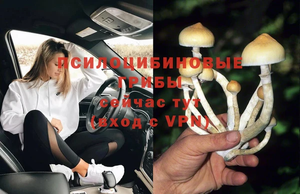 амф Пролетарск