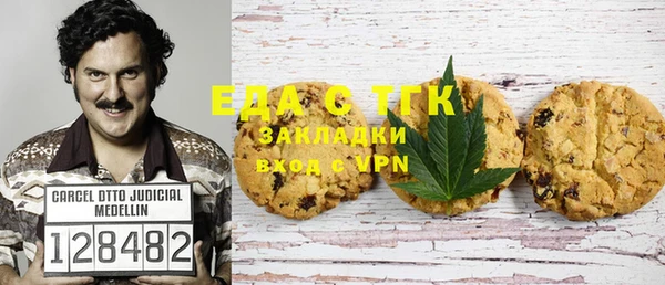 дмт Бородино