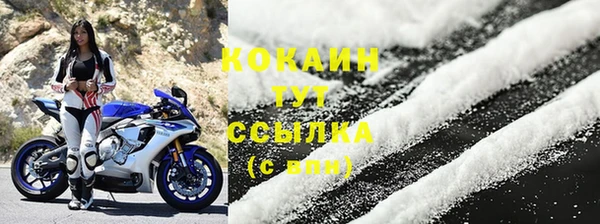 дмт Бородино