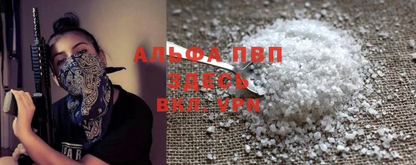 дмт Бородино