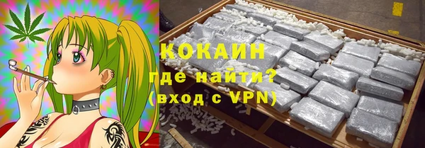 дмт Бородино